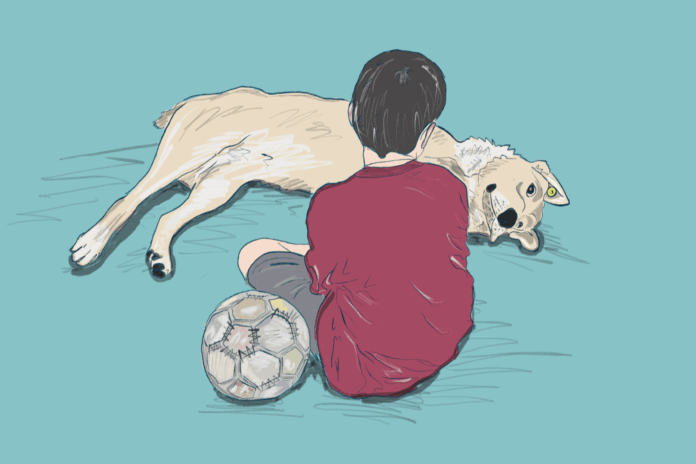 Dispatch – November 30: The Anniversary - Civil Georgia