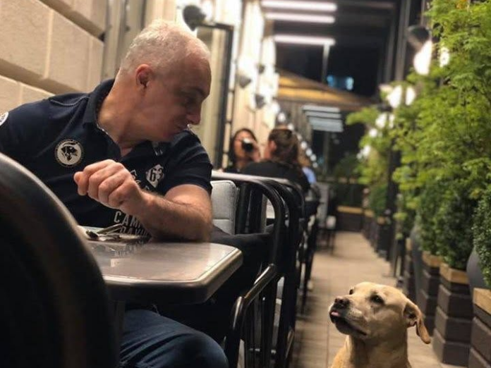 Detained Animal Rights Defender Tamaz Elizbarashvili Charged with ‘Making Threats’ - Civil Georgia