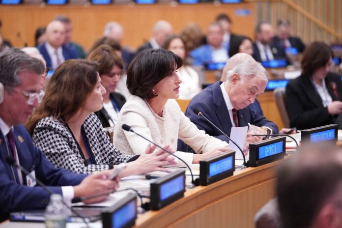 Georgia Joins Ukraine-Supportive Statement, Takes Part in Crimea Platform Summit in New York - Civil Georgia