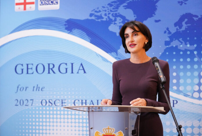 Botchorishvili Says ‘Number of’ EU Countries Support Georgia’s OSCE Bid Amid Reports of Objections - Civil Georgia